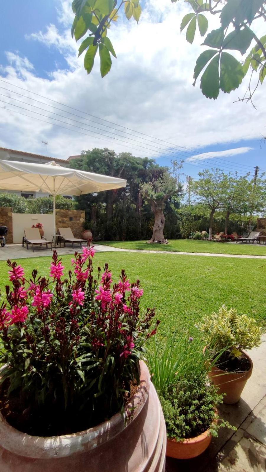 Coel Luxury Suites By Rentalspro Services - Potidea Halkidiki Nea Poteidaia Luaran gambar